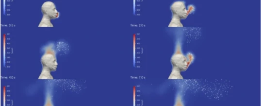 3D modelling and simulation of thermal effects and dispersion of particles carrying infectious respiratory agents in a railway transport coach